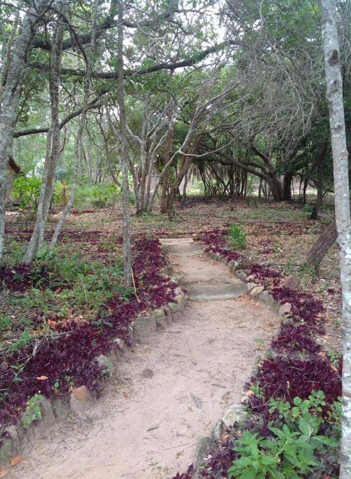 Riachinho Pousada Fazenda Vale do Capao Exteriör bild